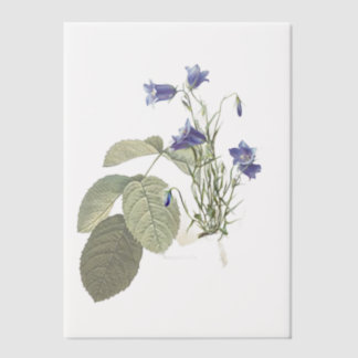 Campanula Bluebell Botanical Overlay Vellum Uitnodigingen