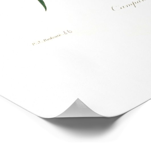 Campanula clochette poster (Hoek)