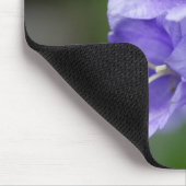 Campanula Muismat (Hoek)