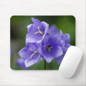 Campanula Muismat (Met muis)