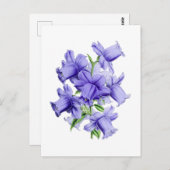 Campanula Vintage Botanical Postcard Briefkaart (Voorkant / Achterkant)