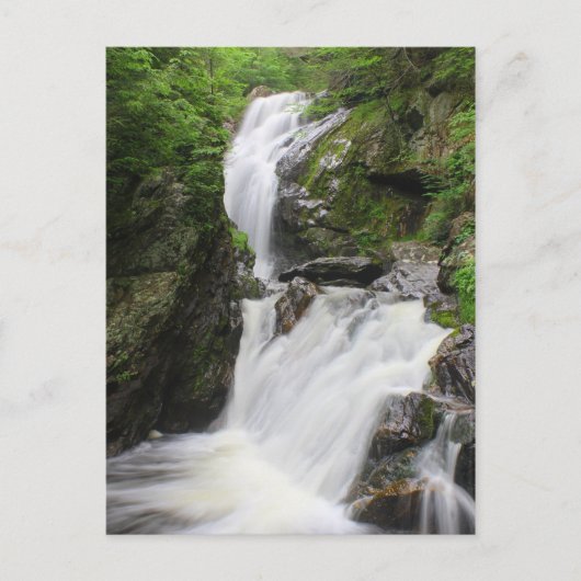 Campbell Herfsten Berkshires Waterfall Briefkaart (Voorkant)
