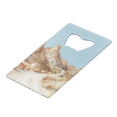 Camper Adventure Vivre le rêve (Dos Angle)