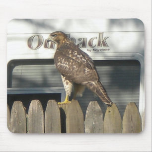 Camping Hawk mousepad Muismat