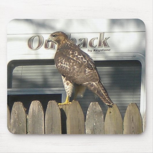 Camping Hawk mousepad Muismat (Voorkant)