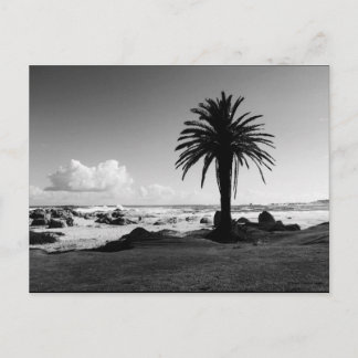 "Camps Bay South Africa" BW JTG Briefkaart