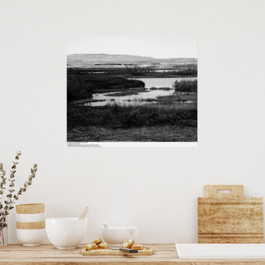 Campus from across Wildlife Pool, Irvine, 1967 Poster (Keuken)