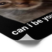 Can I Be Your Valentine Funny Cat Meme Brainrot Ge Poster (Hoek)