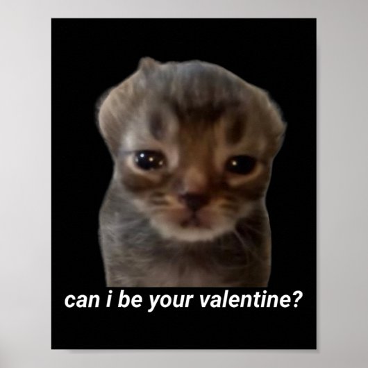 Can I Be Your Valentine Funny Cat Meme Brainrot Ge Poster (Voorkant)