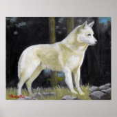 Canaan Dog Portrait Poster Print (Voorkant)