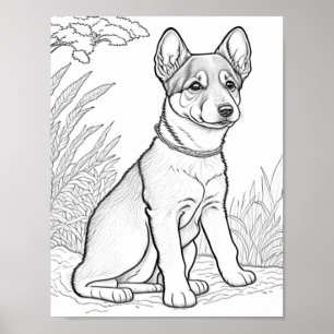 Canaan hond volwassen kleuring poster