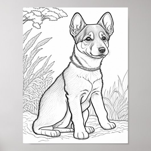 Canaan hond volwassen kleuring poster (Voorkant)
