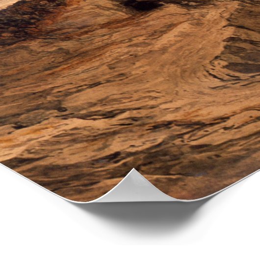 Canaan Poster (Hoek)