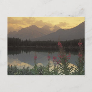 Canada, Alberta, Banff. Zonsopgang panorama van Briefkaart