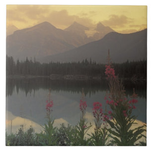 Canada, Alberta, Banff. Zonsopgang panorama van Tegeltje