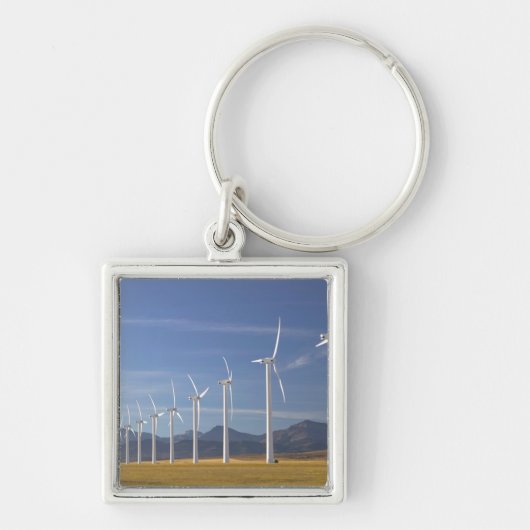 Canada, Alberta, Crowsnest Pass gebied: Cowley Sleutelhanger (Voorkant)