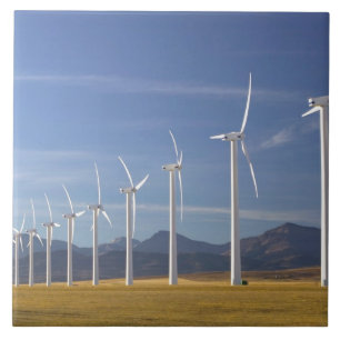 Canada, Alberta, Crowsnest Pass gebied: Cowley Tegeltje