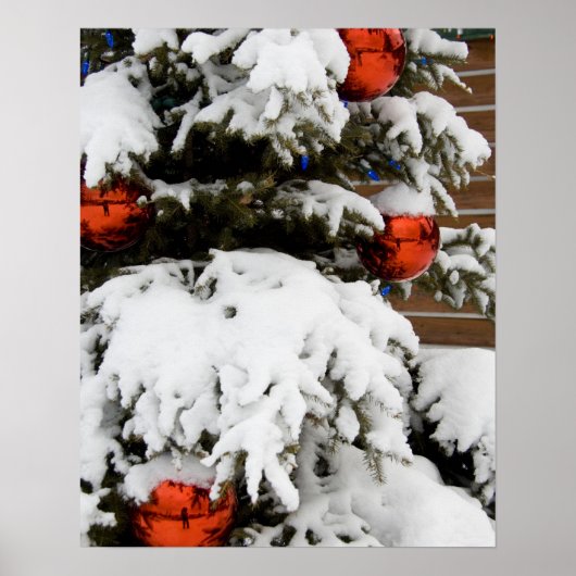 Canada, Alberta, Jasper, Jasper NP. Fairmont 2 Poster (Voorkant)