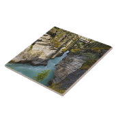 Canada, Alberta, Jasper National Park, Athabasca 2 Tegeltje (Zijkant)