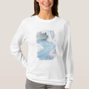 Canada, Alberta, Jasper National Park. De T-shirt