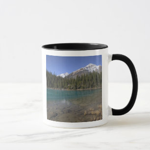 Canada, Alberta, Jasper National Park: JASPER, Mok