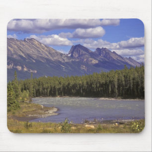 Canada, Alberta, Nationaal park Jasper. Groot Muismat