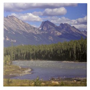 Canada, Alberta, Nationaal park Jasper. Groot Tegeltje