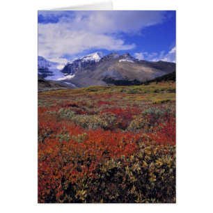 Canada, Alberta, Parc national de Banff. Les airel