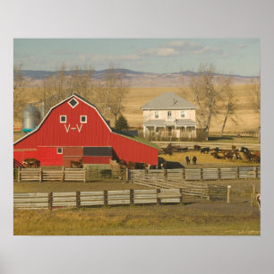 Canada, Alberta, Pincher Creek: Red Barn en Ranch Poster