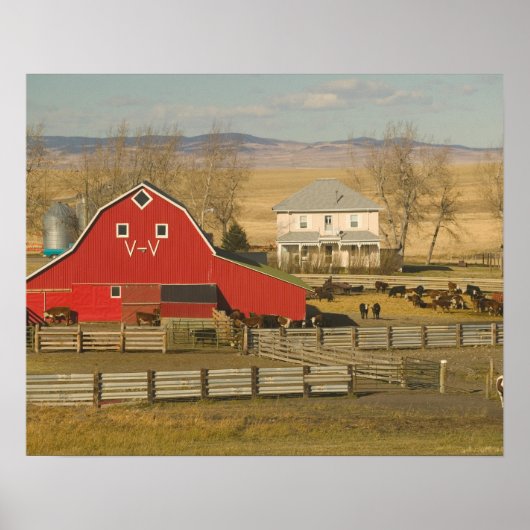 Canada, Alberta, Pincher Creek: Rode Barn en Ranch Poster (Voorkant)