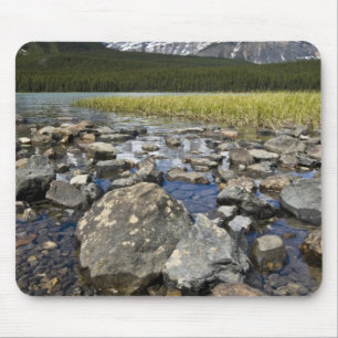 Canada, Alberta, Rocky Mountains, Banff Nationaal Muismat