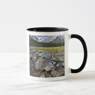 Canada, Alberta, Rocky Mountains, Nationaal park B Mok