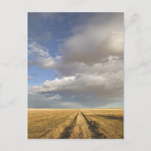 Canada, Alberta, stand-off: landschap met Briefkaart (Voorkant)
