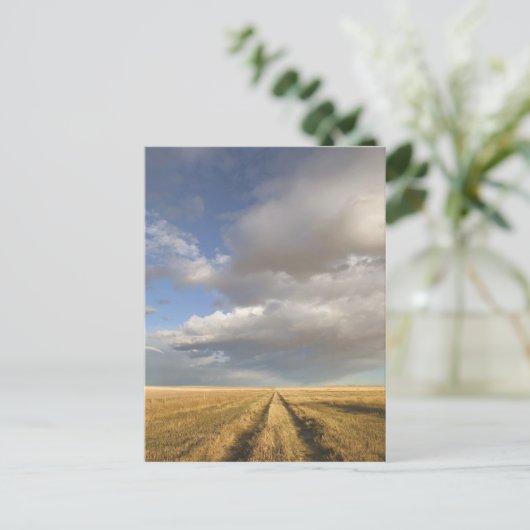 Canada, Alberta, stand-off: landschap met Briefkaart (Staand voorkant)