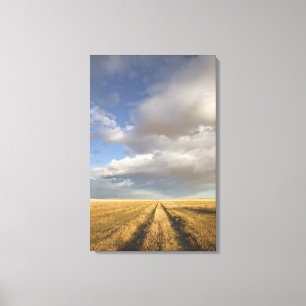 Canada, Alberta, Stand Off: Landschap met Canvas Afdruk