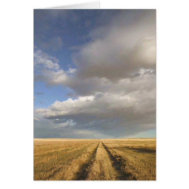 Canada, Alberta, Stand Off : Paysage avec (Devant)