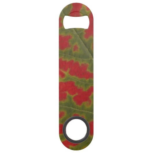 Canada Bottiner Canada Maple Leaf Souvenirs (Dos)