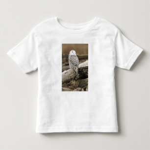 Canada, Boundary Bay, Sneeuwuil Kinder Shirts