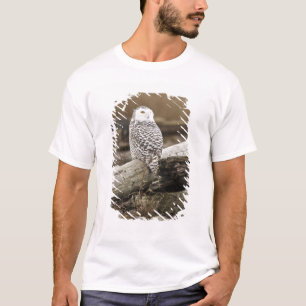 Canada, Boundary Bay, Sneeuwuil T-shirt