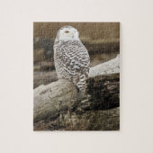 Canada, Boundary Bay, Snowy Owl Legpuzzel (Verticaal)