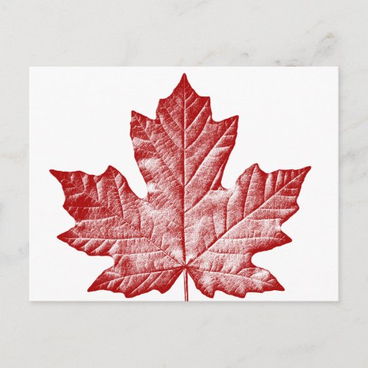 Canada Briefkaarten Cool Canadian Souvenir Briefka (Voorkant)