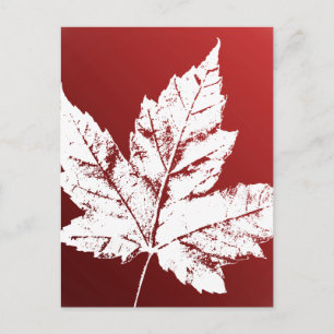 Canada Briefkaarten Cool Canadian Souvenir Briefka