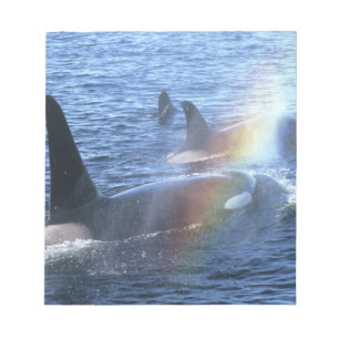 Canada, British Columbia, Johnstone Straight, Notitieblok