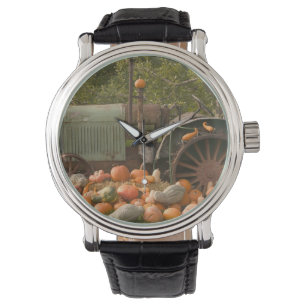 CANADA, British Columbia, Keremeos. herfst / 2 Horloge