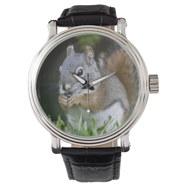 Canada, British Columbia, Red Squirrel Pine Horloge (Voorkant)