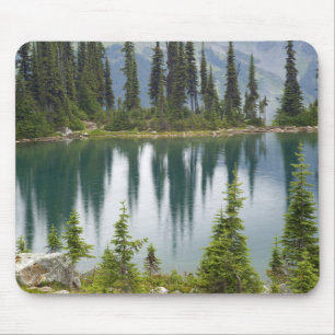 Canada, British Columbia, Revelstoke National Muismat