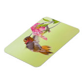Canada, British Columbia, Rufous Hummingbird Magneet (Linkerzijde)