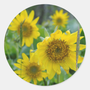 Canada, British Columbia, Vancouver Island 5 Ronde Sticker