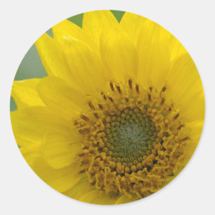 Canada, British Columbia, Vancouver Island 7 Ronde Sticker