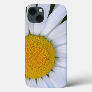 Canada, British Columbia, Vancouver Island 8 iPhone 13 Hoesje